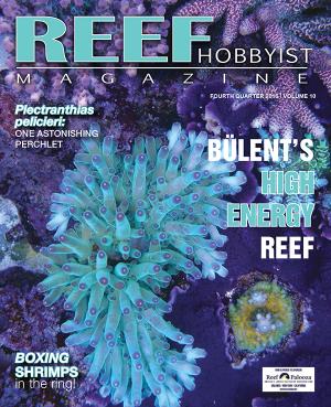 Reef hobbyist magazine 2ef3e50fd7c1091dda165f25be7f64fd-cover