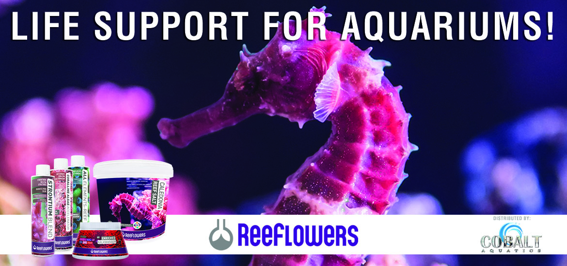 home reef hobbyist magazine